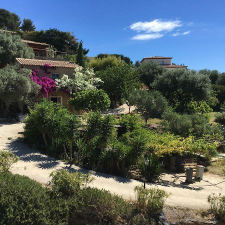 Les Terrasses Sur Mer Ollioules Buitenkant foto