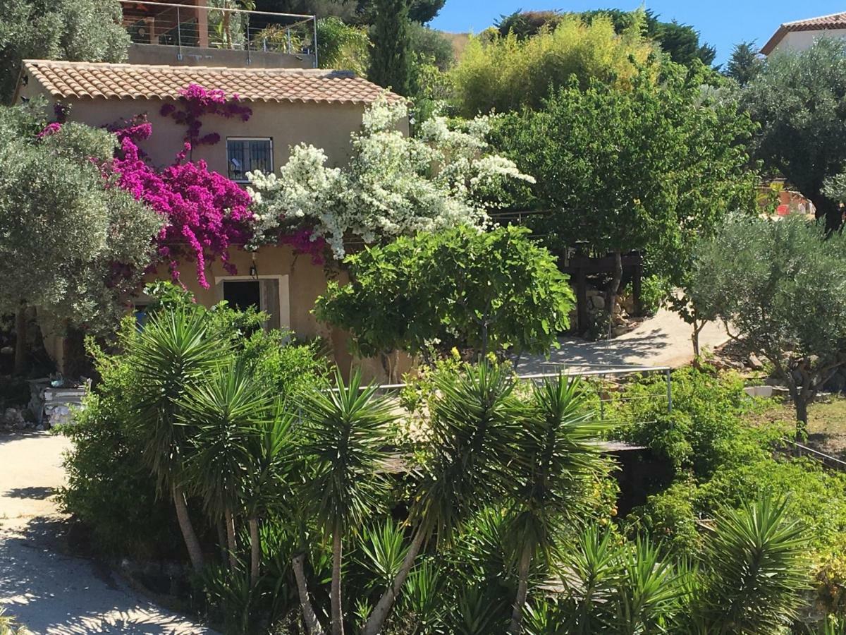Les Terrasses Sur Mer Ollioules Buitenkant foto